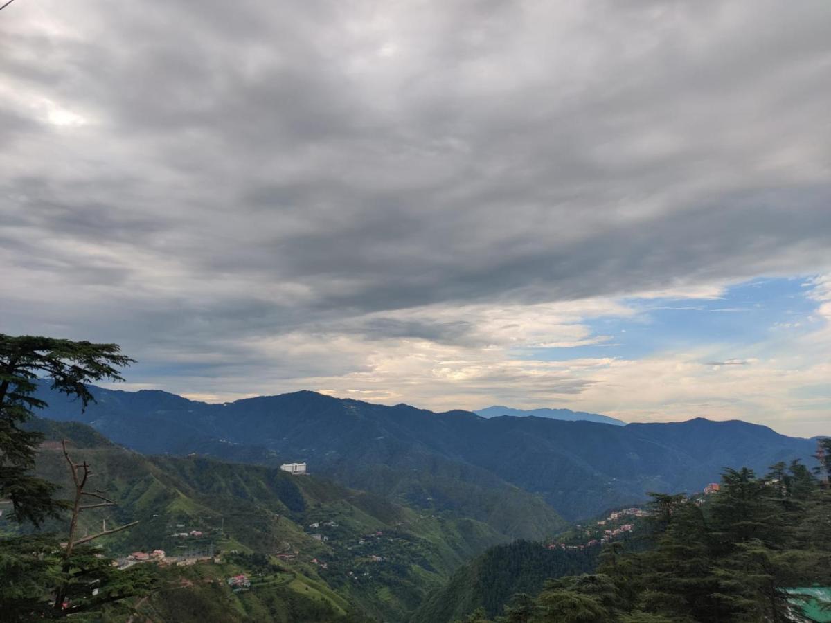 Springfields - A Heritage Palace Since 1902 Shimla Esterno foto